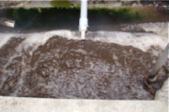 ビオスフェアMB投入後写真