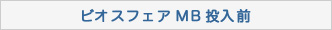 ビオスフェアMB投入前