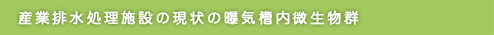 産業排水処理施設の現状の曝気槽内微生物群