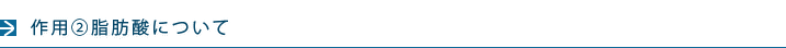 作用②グリセリンについて
