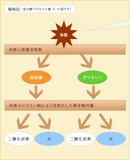 簡略図（生分解プロセスに基づいた図です）