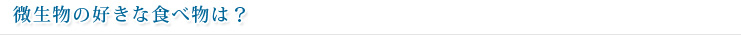 微生物の好きな食べ物は？