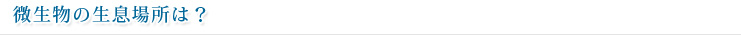 微生物の生息場所は？