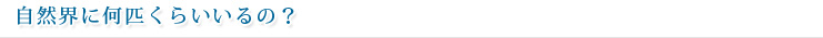 自然界に何匹くらいいるの？
