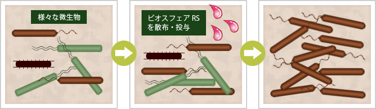 「ビオスフェアRS」は液体です